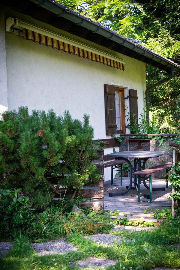 Ferienhaus Schetterإغ المظهر الخارجي الصورة